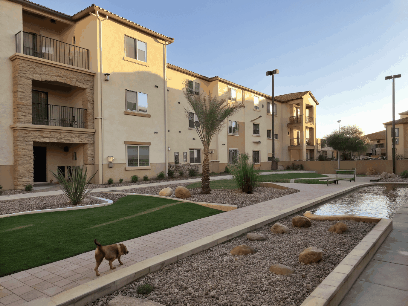 Apartment Complex Courtyard Turf installation in Richardson, TX