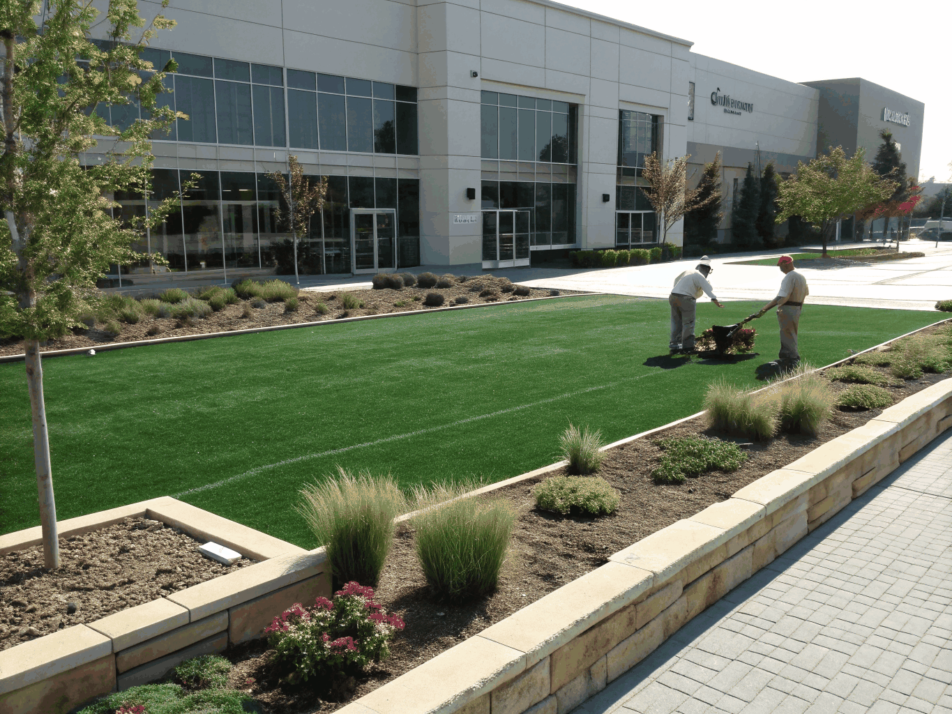 Commercial artificial turf landscaping at a corporate office park and common area