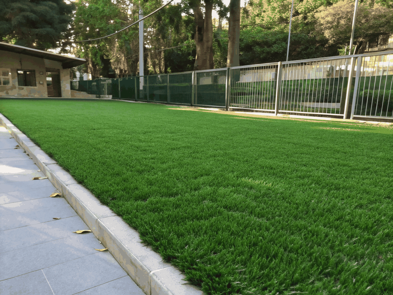 Shaded residential yard synthetic turf installation over Texas clay in Sachse, Texas